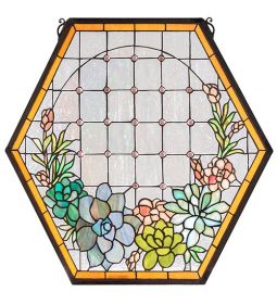 20" Wide X 20" High Succulent Window