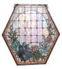 20" Wide X 20" High Succulent Window