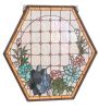 20" Wide X 20" High Succulent Window