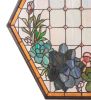 20" Wide X 20" High Succulent Window