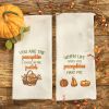 When Life Gives You Dishtowel