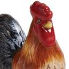 Break Of Day Rooster Salt And Pepper Set