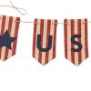 Star Spangled Usa Banner