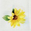 Follow The Sun Napkin