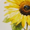 Follow The Sun Salad Plate