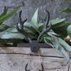Eva & Co Antler Stocking Hanger - Iron