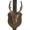 Eva & Co Deer Head Wreath Hanger