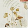 Wild Mushrooms Placemat
