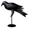 Iron Crow - 13"H