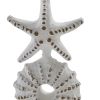 Cove Tall Candle Holder