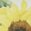 Follow The Sun 16" Pillow Feather Insert