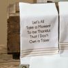 I Don't Own A Taser Dishtowel