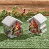 Holiday Cardinal Love Salt and Pepper Set