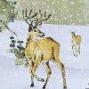 Woodland Winter Runner 36"L