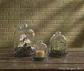 Glass Bell Cloche - 12"H
