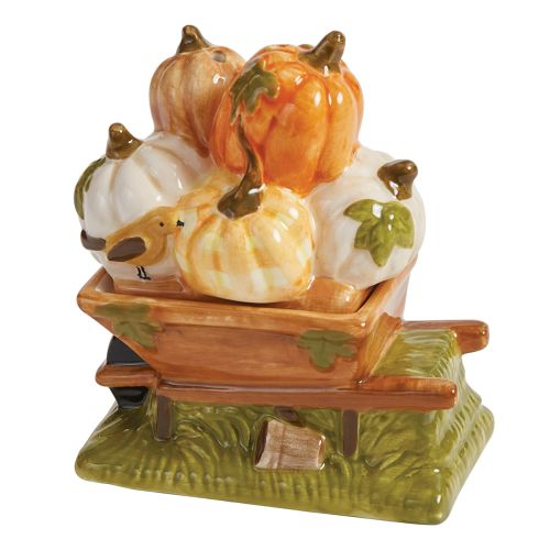 Punkin' Patch Salt And Pepper Set