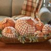 Short Orange And Cream Check Pumpkin