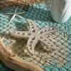 Starfish Metal Trivet