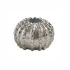 Sea Urchin Taper Holder