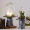Glass Bell Cloche - 12"H