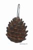Pinecone Shower Curtains Hooks