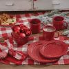 Granite Enamelware Salad Plate - Red